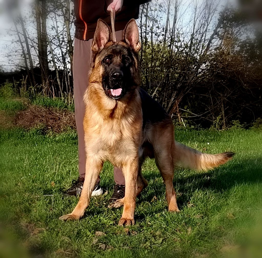 Vino Du val de la houée