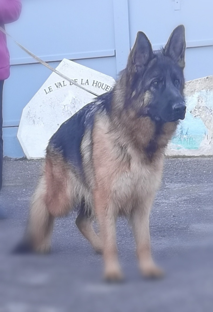 Ulma Du val de la houée