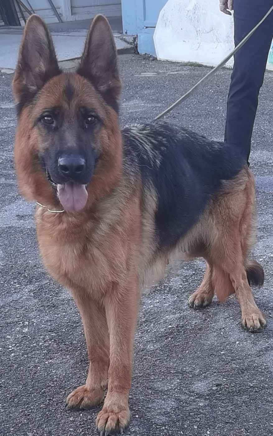 Ukraine Du val de la houée