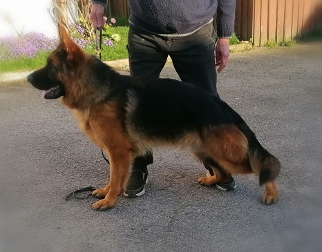 VERRO Du val de la houée