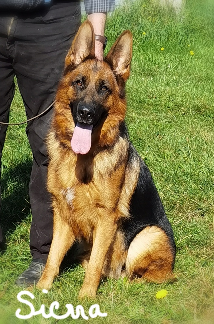 SIERRA